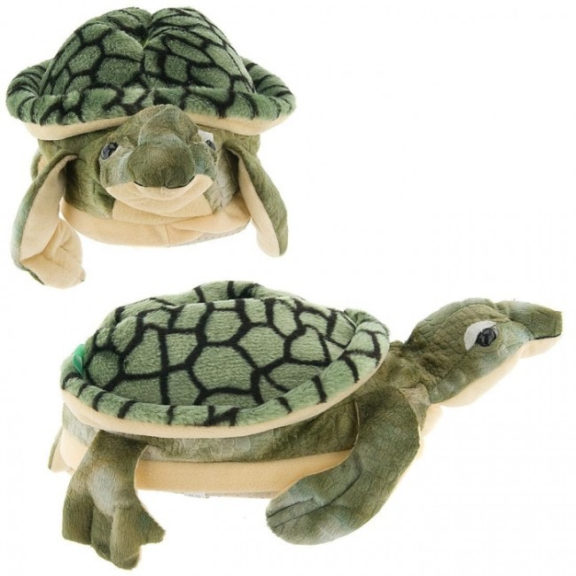 Turtle Slippers for Kids, Women and Men