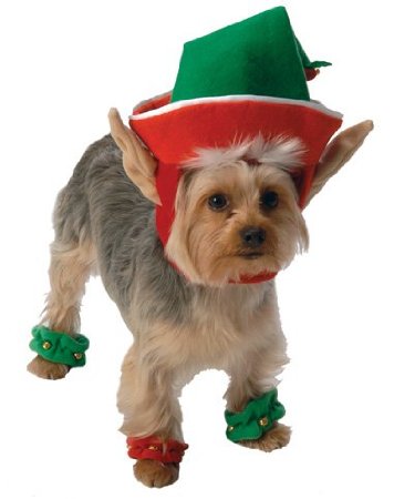 Go Dog Holiday Elf Dog Costume