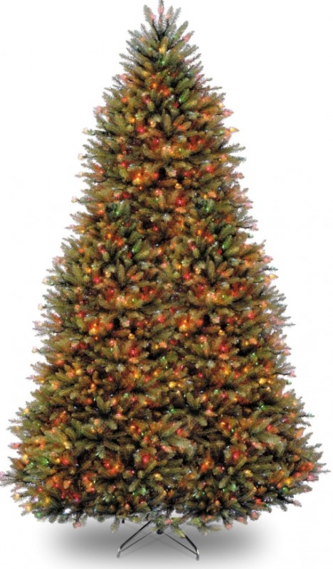 9-Feet Dunhill Fir Tree with 900 Multicolor Lights