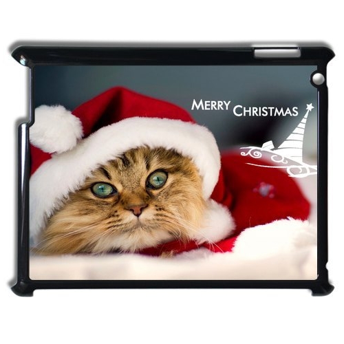 Cute Grumpy Cat with Christmas hat Personalized iPad 2,3,4