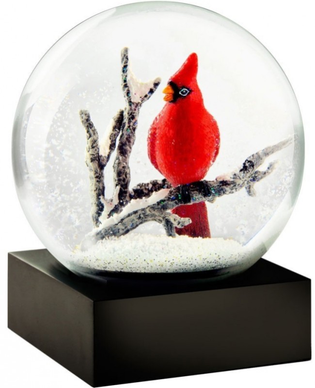 Bird Snow Globe