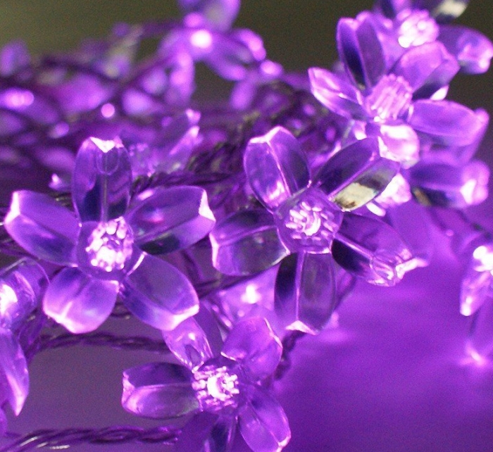 Led Blossom Solar Fairy Lights
