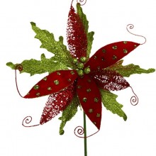Red and Green Poinsettia Stems