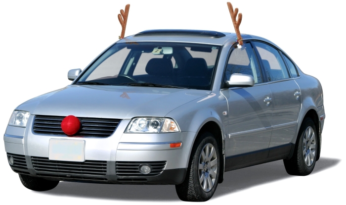 Reindeer Vehicle Costume