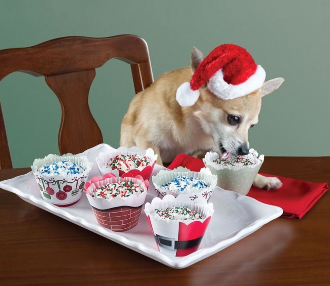 The Canine's Culinary Christmas Cupcakes