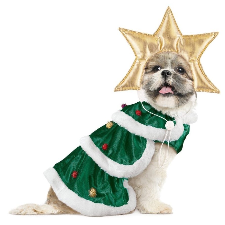 Christmas Tree Dog Christmas Outfit