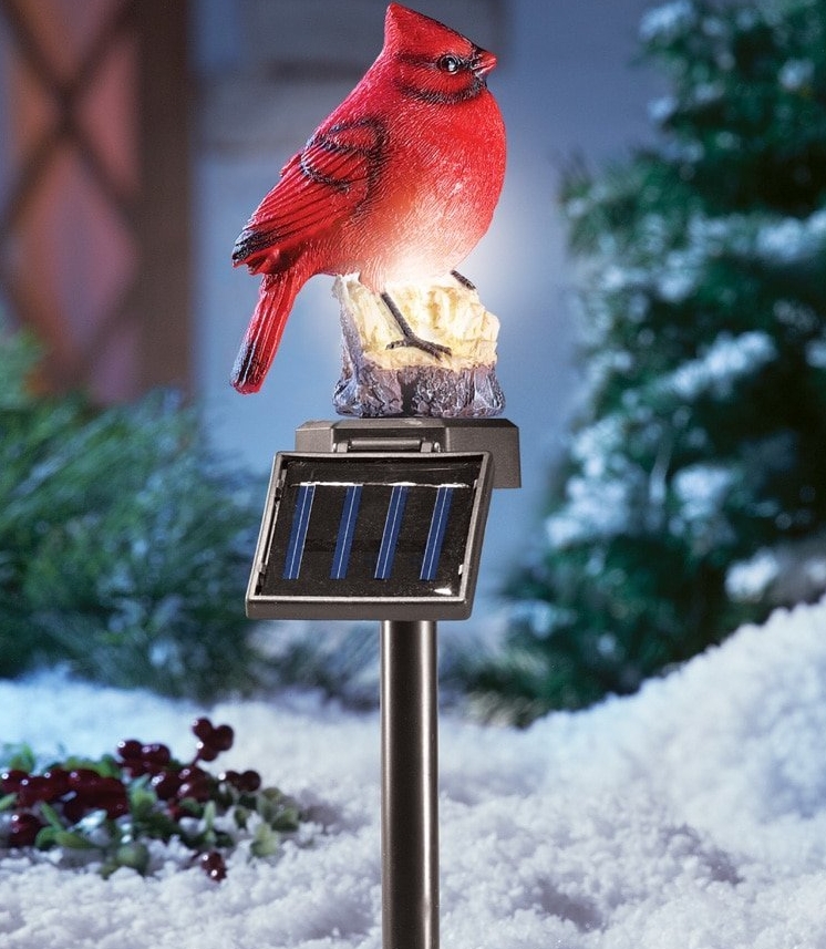 Solar Lighted Cardinal Outdoor Stake