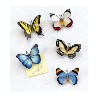 Colorful Butterfly Magnets