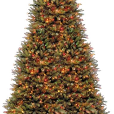 9-Feet Dunhill Fir Tree with 900 Multicolor Lights