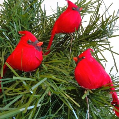 Cardinal Birds for Christmas Tree Ornaments