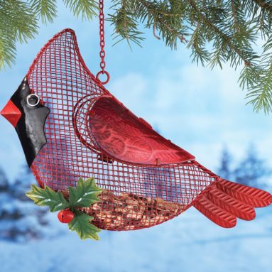 Hanging Outdoor Cardinal Bird Feeder