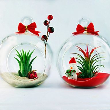 Holiday Globe Set of Two Christmas Terrariums