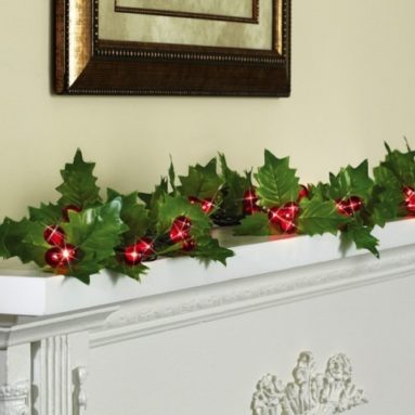 Holly Berry String Lights With Timer