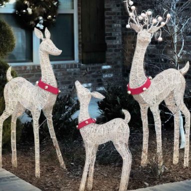 Lighted Christmas Holiday Deer Family