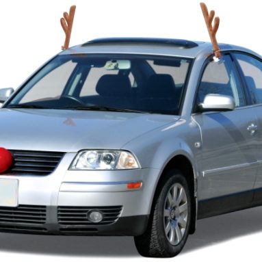 Reindeer Vehicle Costume