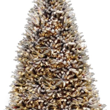 National Tree 9-Feet with Cones and 900 Clear Lights