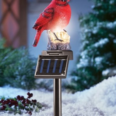 Solar Lighted Cardinal Outdoor Stake
