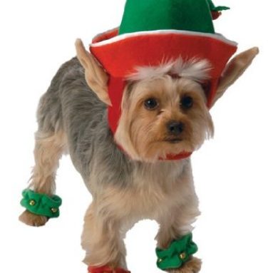 Go Dog Holiday Elf Dog Costume
