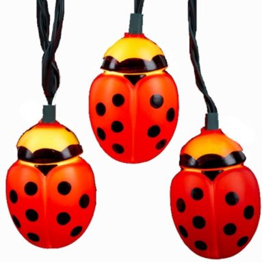 Ladybug Light Set