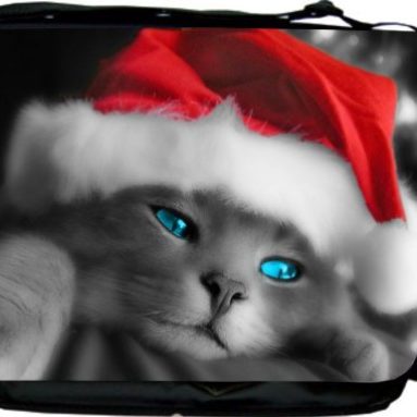 Santa Claus Cat Design Messenger Bag